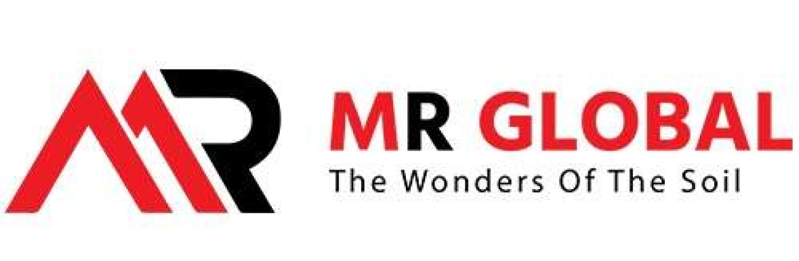 MR Global Cover Image