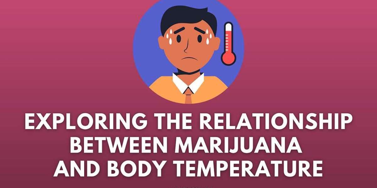 Renew Medical Marijuanas Card VA Online: Virginia Guide