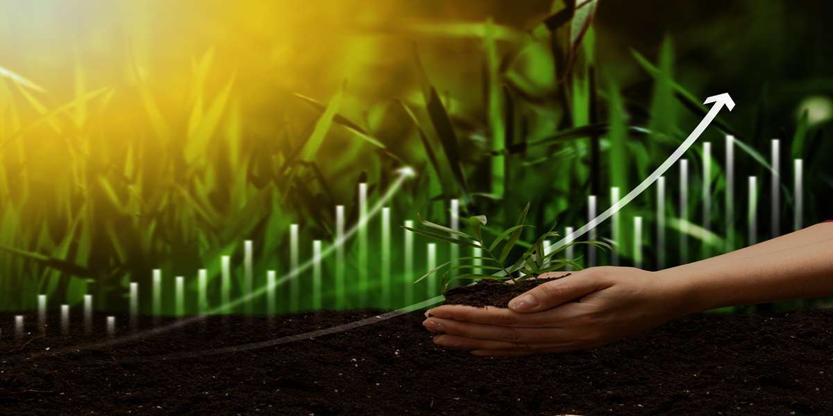 Freight and Insurance Costs Reshape Global Fertilizer Economics