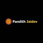 Astrologer Pandith Jaidev Profile Picture
