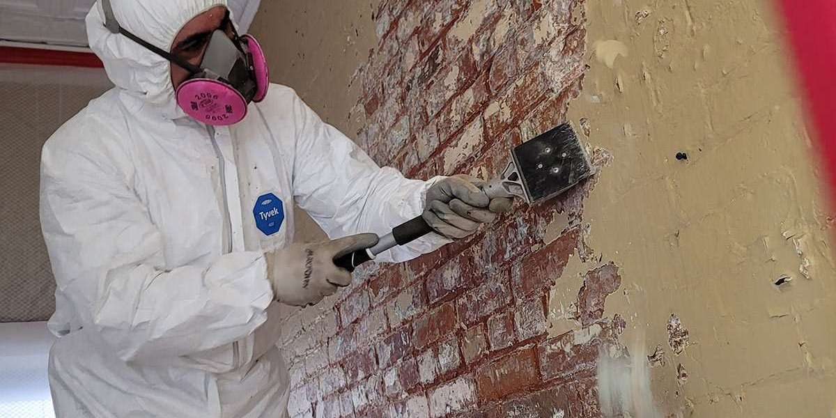 Lead Abatement Greenville