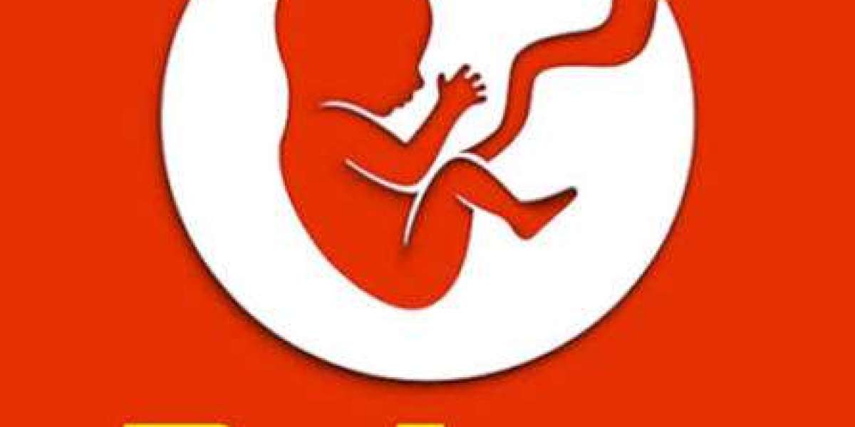 Embrace Your Digital Destiny: A Guide to Experiencing BitLife