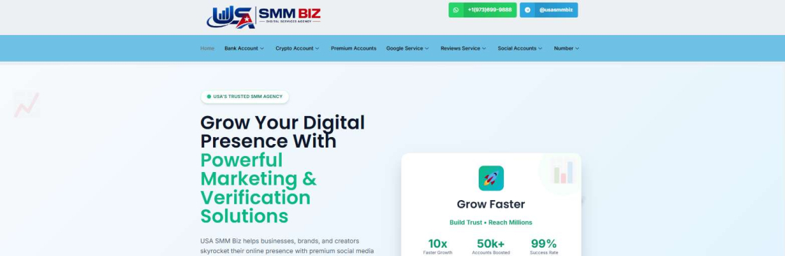 USA SmmBiz Cover Image