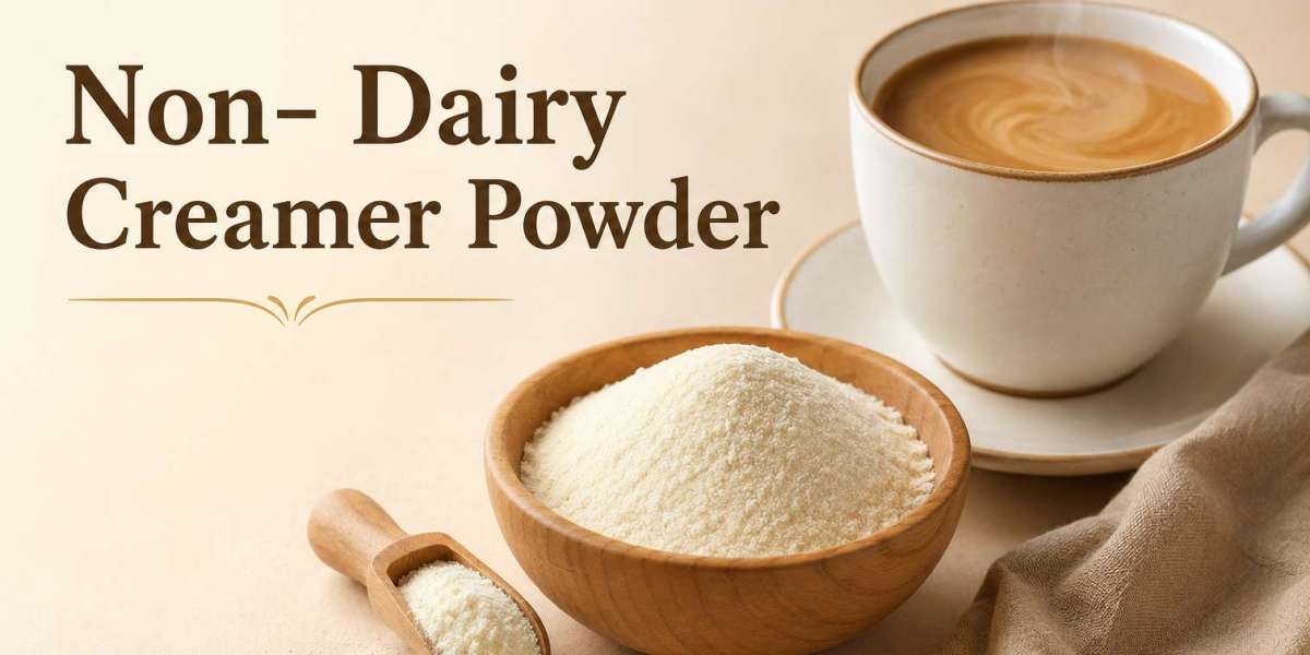 Global Non-Dairy Creamer Powder Market Growth Dynamics, Commercial Demand, and Sizing Forecast by 2034