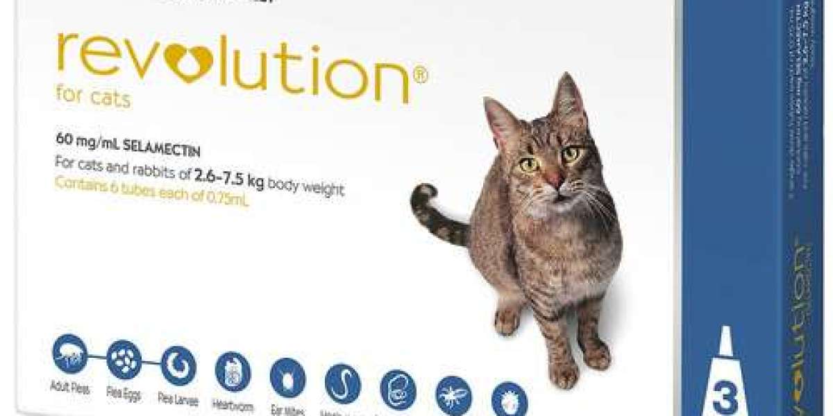 Revolution Plus For Cats