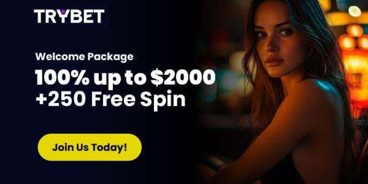 Trybet Explains the Social Side of Online Gaming Habits