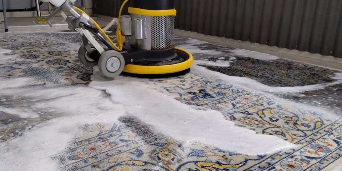 Professional Guide to Finding the Right Rug Care Solution