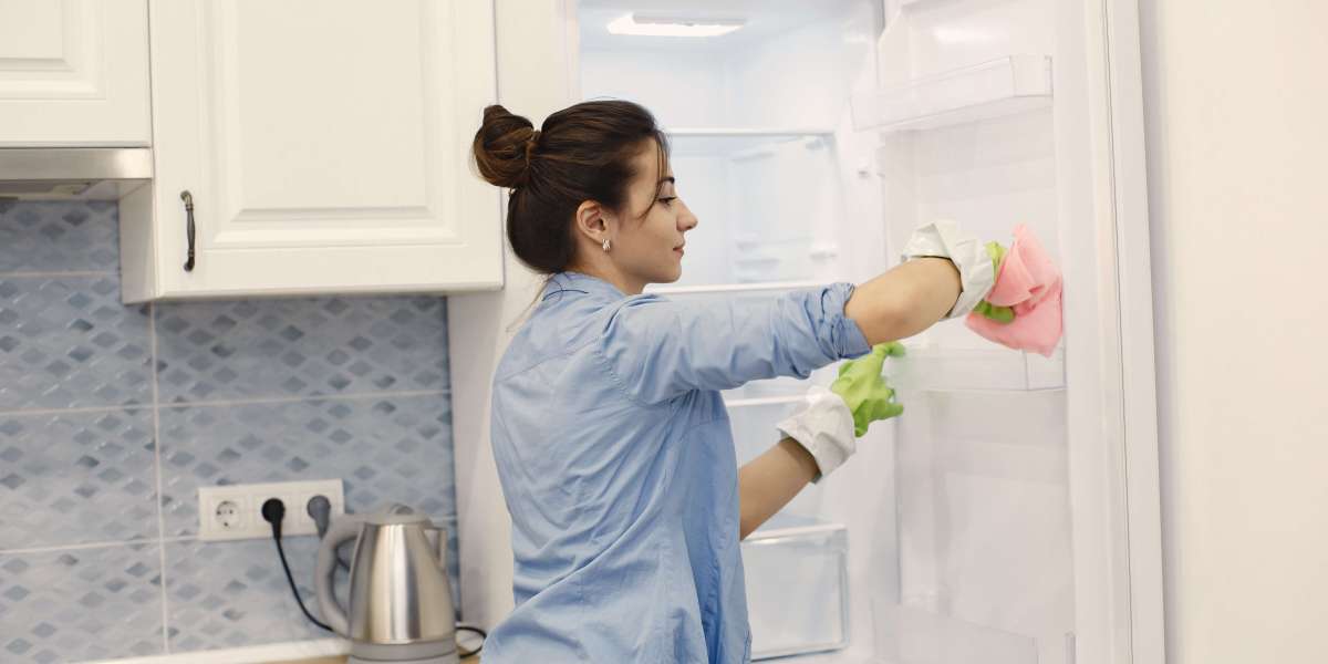 How to Clean a Frigidaire Ice Maker: Easy Maintenance Tips