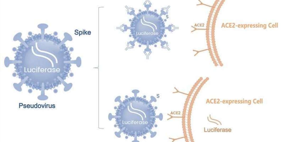 Decoding HIV Envelope Glycoproteins: The Critical Roles of gp140 and gp36 in Modern Virology Research
