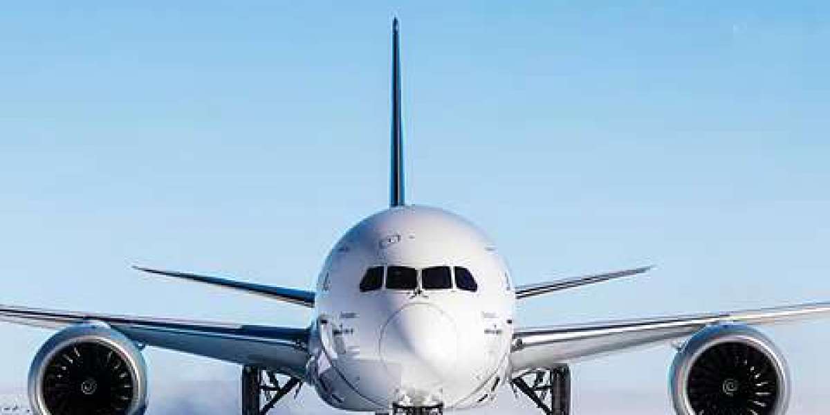 How Can the Ethiopian Airlines Washington DC Office Assist International Travelers?