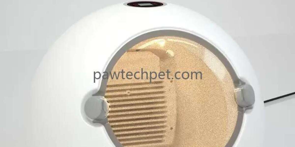 Modern Pet Dryers Designed for Everyday Grooming