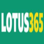 lotus365web Profile Picture