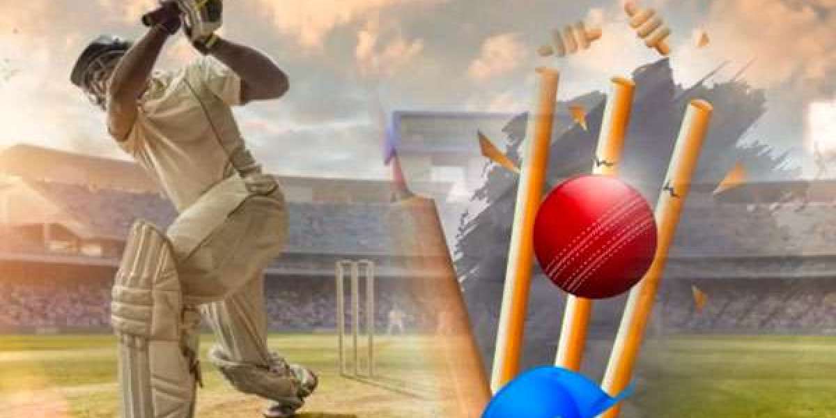 What Features to Compare When Choosing a Cricket Online ID